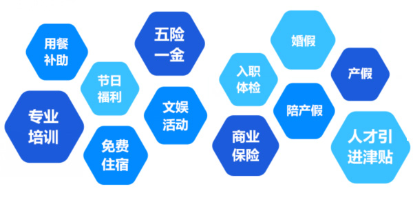 提供全面、系统、专业的培训和广阔的<br>职业发展空间和提升机会